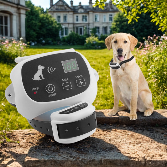 PetSecure – La liberté de bouger, la sécurité assurée.