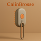 CalinBrosse – Brosse vapeur douce 3-en-1 pour animaux de compagnie